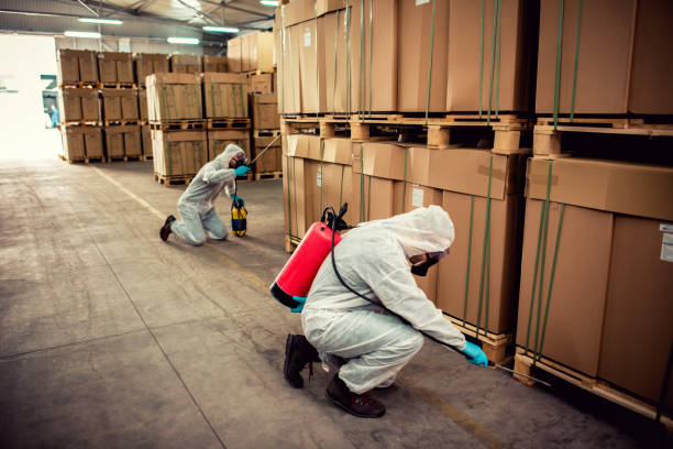 Best Rat Extermination Near Me  in North Syracuse, NY