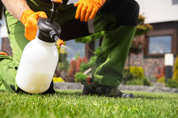 Best Commercial Pest Control Services  in North Syracuse, NY