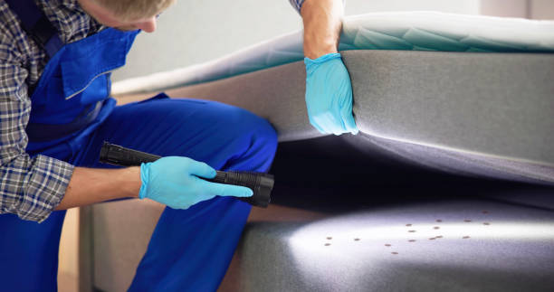 Best Best Pest Control Companies  in North Syracuse, NY