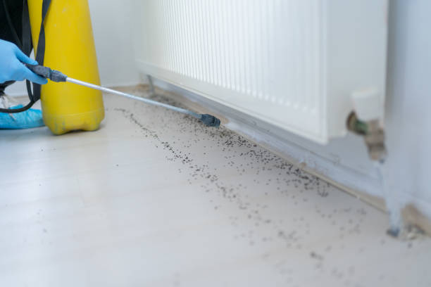 Best Emergency Pest Control  in North Syracuse, NY