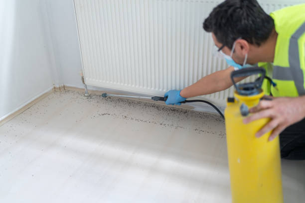 Best Best Pest Control Companies  in North Syracuse, NY